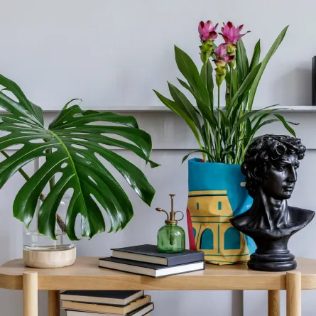 غرفة معيشة مودرن مزدانة بالنباتات