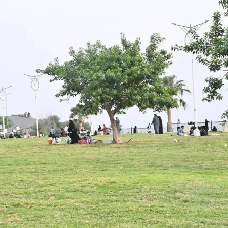 مناطق السعودية تستعد لاستقبال عيد الأضحى المبارك - الصورة من إحدى الحدائق في جازان بعدسة واس