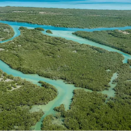 هيئة البيئة – أبوظبي أول جهة تنظيمية في دولة الإمارات تحصل على شهادة الحياد الكربوني مرتين - الصورة من مكتب أبوظبي الإعلامي