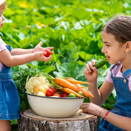 صورة أطفال يأكلون الخضراوات