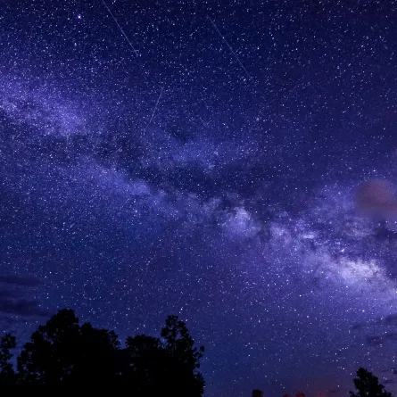 نجوم سماوية