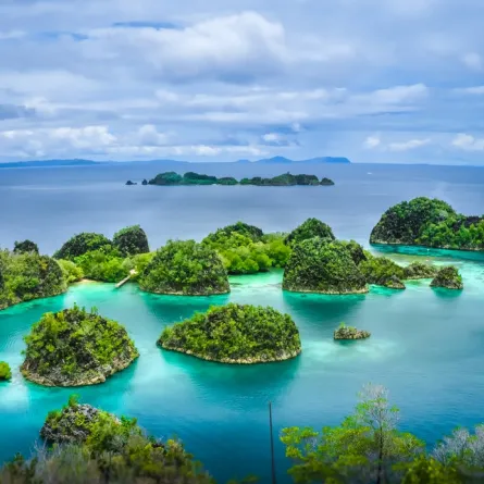 جزر راجا أمبات