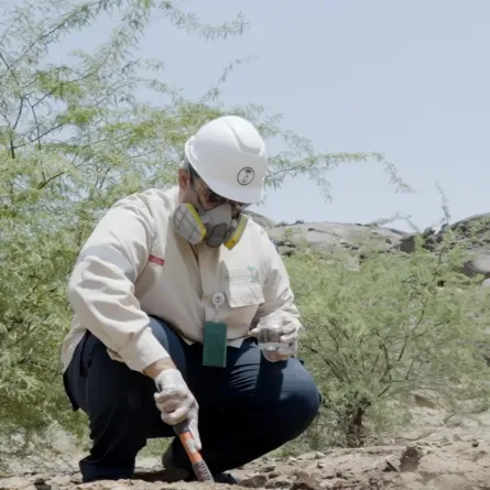 الالتزام البيئي