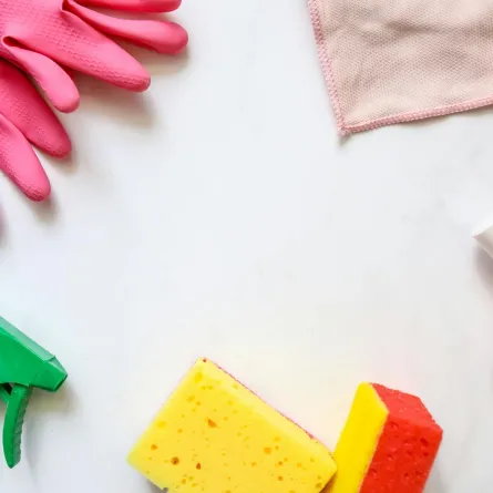 العناية بنظافة المنزل