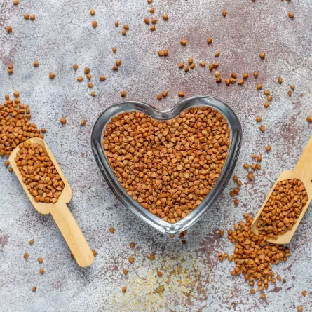 الرشاد علاج فعّال في التخلُّص من البلغم Image By Freepik