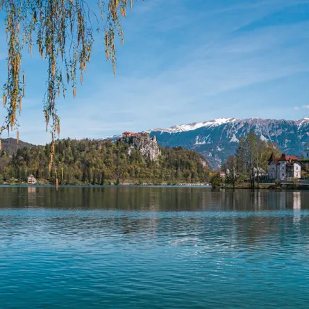 جانب من بحيرة بليد