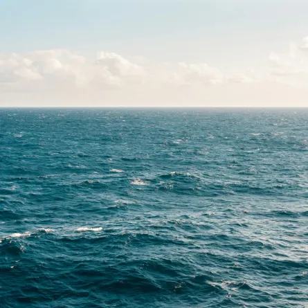 تفسير حلم رؤيا البحر