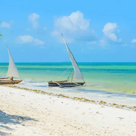 لقطة لأحد شواطئ زنجبار