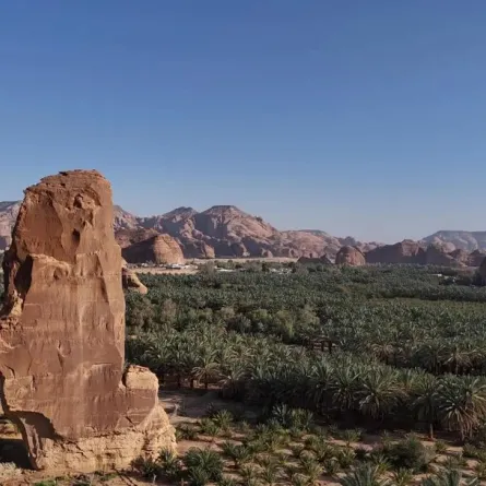 يهدف الموسم إلى دعم المنتجين المحليين وتمكينهم من عرض أجود محاصيلهم