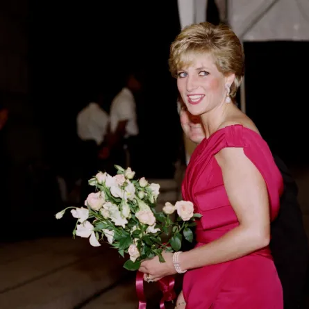 الأميرة ديانا في قاعة الإدارات في واشنطن (Princess Diana at the Departmental Auditorium in Washington). مصدر الصورة: Kevin LARKIN / AFP