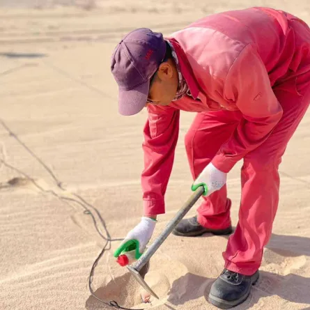 المركز الوطني لتنمية الغطاء النباتي