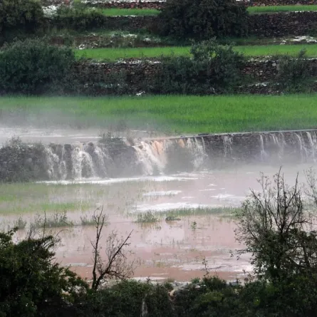 أوضح التقرير أن توقعات درجات الحرارة تشير إلى ارتفاع عن المعدلات الطبيعية بمقدار درجة مئوية واحدة 