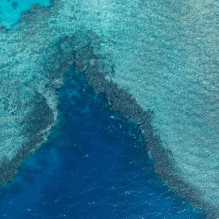 أكّدت الهيئة أن هذا الاحتفاء يأتي في إطار اعتزازها بكل العاملين في القطاع البحري، وبما يقدمونه من دور فاعل في نهضة هذا القطاع 