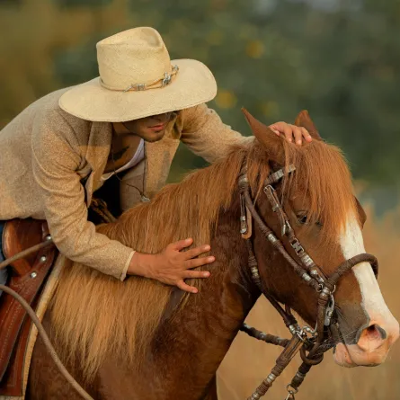 تفسير حلم ركوب الخيل