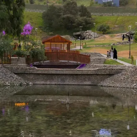 انطلاق فعاليات مهرجان صيف الباحة 2025