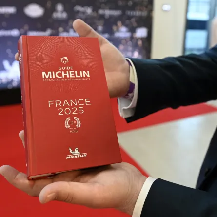 دليل ميشلان 