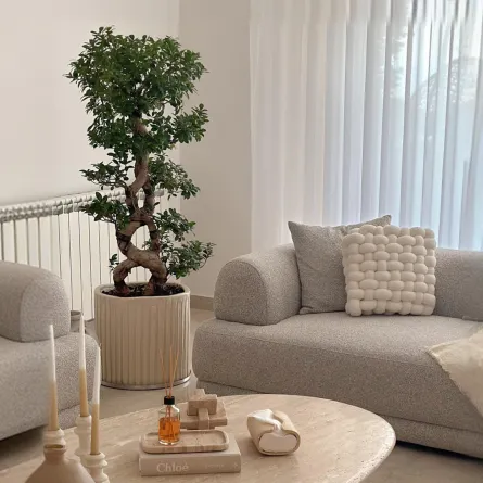 غرفة معيشة مودرن