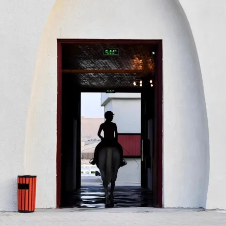 مرابط الخيل وجهة تجمع عشاق الفروسية - الصورة من وكالة الأنباء السعودية "واس"