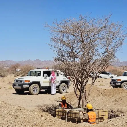 نقل 5 أشجار مُعمّرة لمناطق تنمية الغطاء النباتي - الصورة من وكالة الأنباء السعودية "واس"