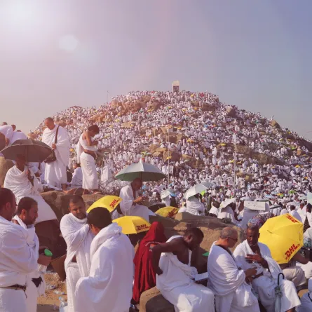 تفسير رؤيا عيد الأضحى 