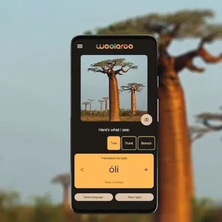 أداة Woolaroo من جوجل لحماية اللغات من الاندثار - الصورة من الموقع الرسمي لـartsandculture.google