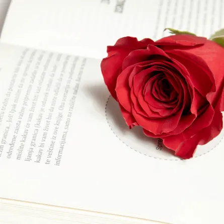 رواية رومانسية عليها وردة حمراء