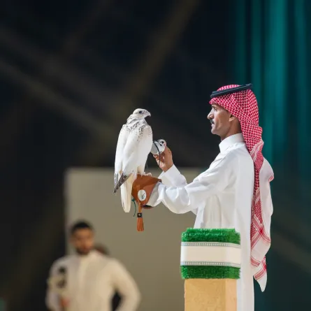 نادي الصقور