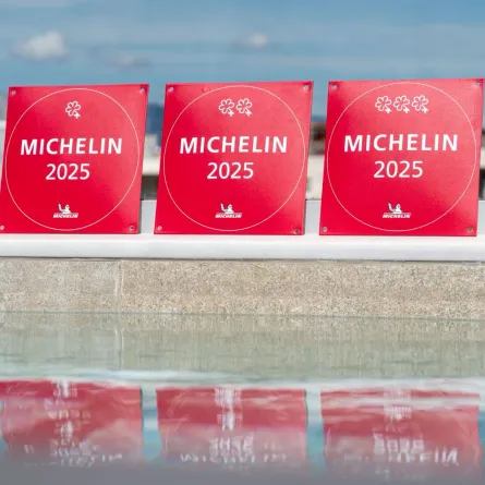 دليل ميشلان