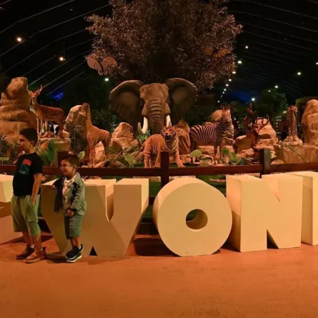 غابة العجائب