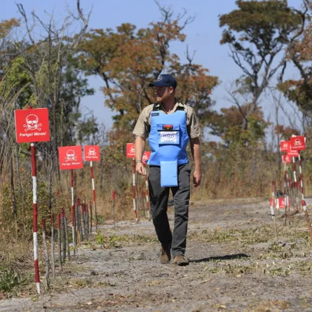 الأمير هاري يعبر حقل ألغام في أنجولا - مصدر الصورة HALO Trust / AFP