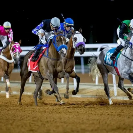 تحظى البطولة في كل عام ببداية قوية وتنافسٍ مرتقب منذ أسبوعها الأول