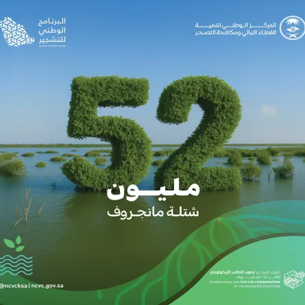 شجر المانجروف