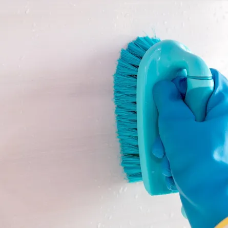 العناية بجدران المنزل