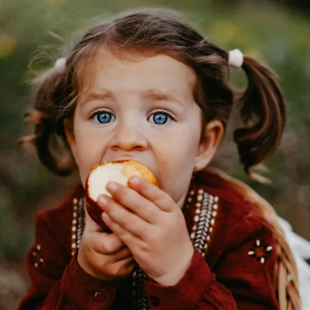 ألغاز في الصيف