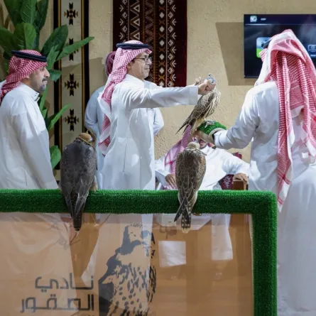 المزاد الدولي لمزارع إنتاج الصقور 2025