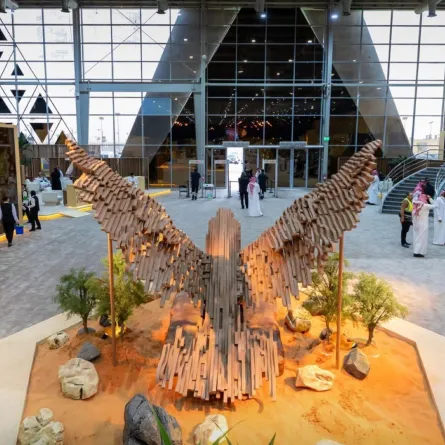 مزاد الصقور