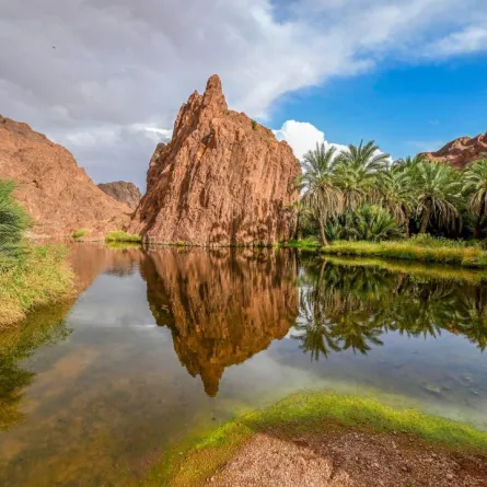 الطبيعة في منطقة حائل