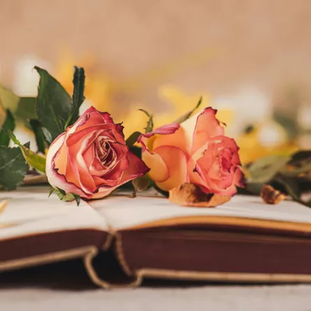 رواية رومانسية مفتوحة فوق صفحاتها زهور  جميلة