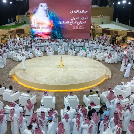 المزاد الدولي لمزارع إنتاج الصقور