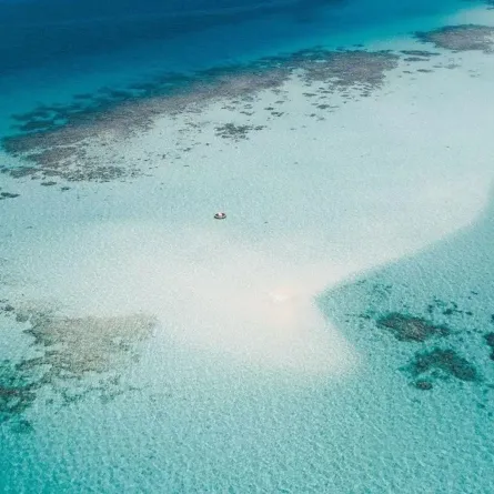 جزيرة بياضة