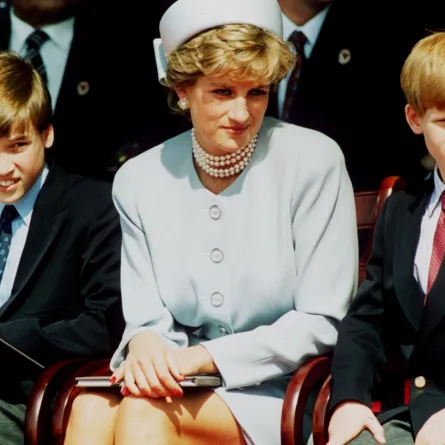 الأميرة ديانا مع ابنيها الأمير ويليام والأمير هاري في هايد بارك في لندن، إنجلترا (Princess Diana with her sons Prince William and Prince Harry in Hyde Park in London, England). مصدر الصورة: Anwar Hussein/Getty Images