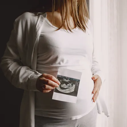 صورة حامل المصدر : Freepik