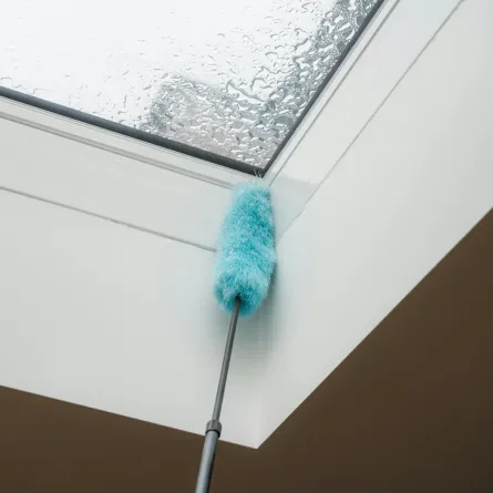 منفضة ذات مقبض طويل