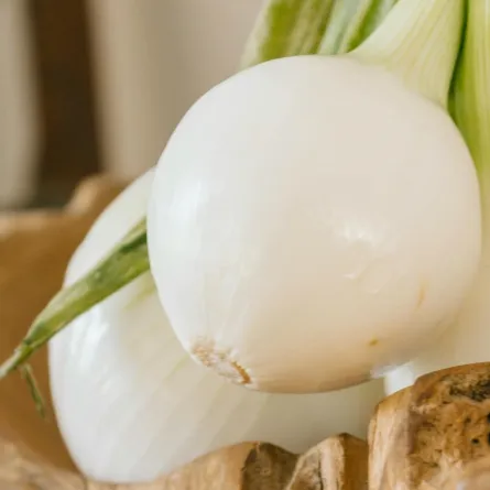 البصل الأبيض وفوائد جمّة