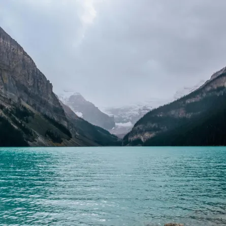 تفسير حلم الماء الصافي