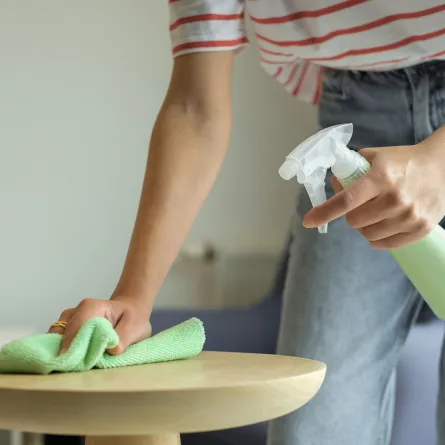 تنظيف المنزل