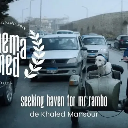 الملصق الدعائي لفيلم البحث عن منفذ لخروج السيد رامبو- الصورة من الشركة المنتجة