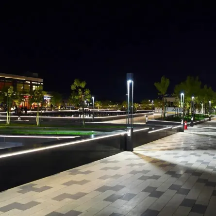 المدينة المنورة