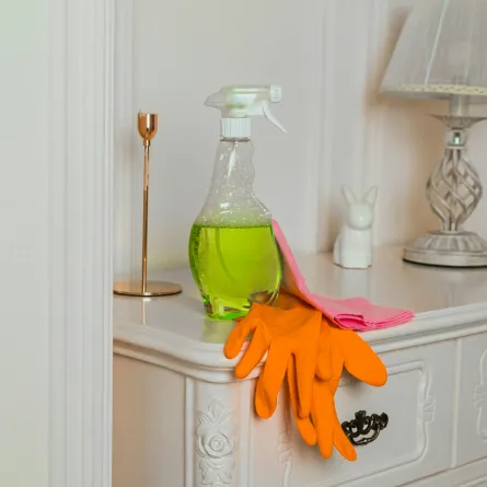 العناية بنظافة المنزل