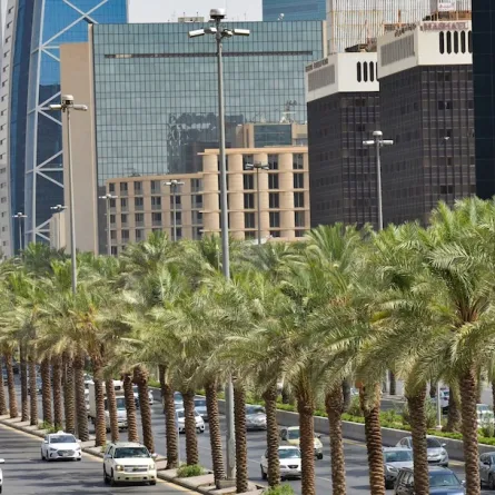 النخيل في السعودية - مصدر الصورة  AFP 2023 / FAYEZ NURELDINE